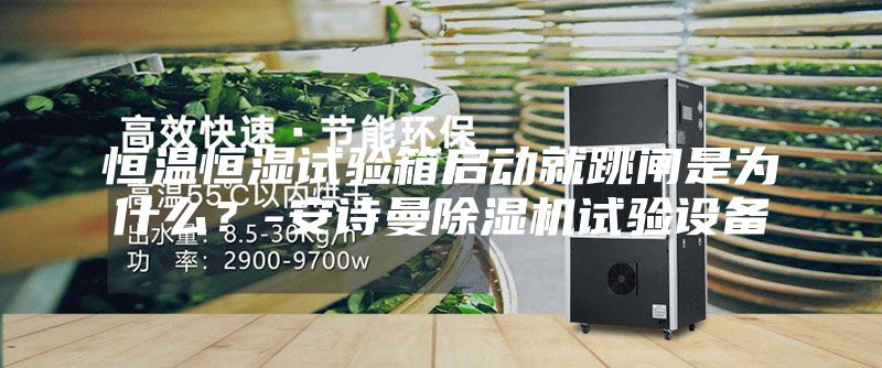 恒温恒湿试验箱启动就跳闸是为什么？-安诗曼除湿机试验设备