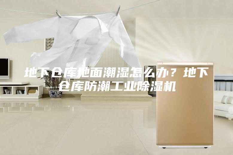 地下仓库地面潮湿怎么办？地下仓库防潮工业除湿机