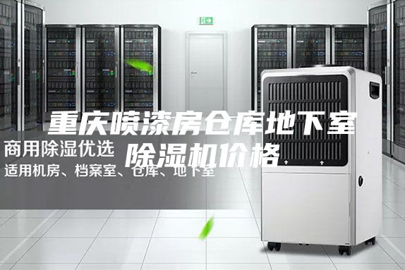 重庆喷漆房仓库地下室除湿机价格
