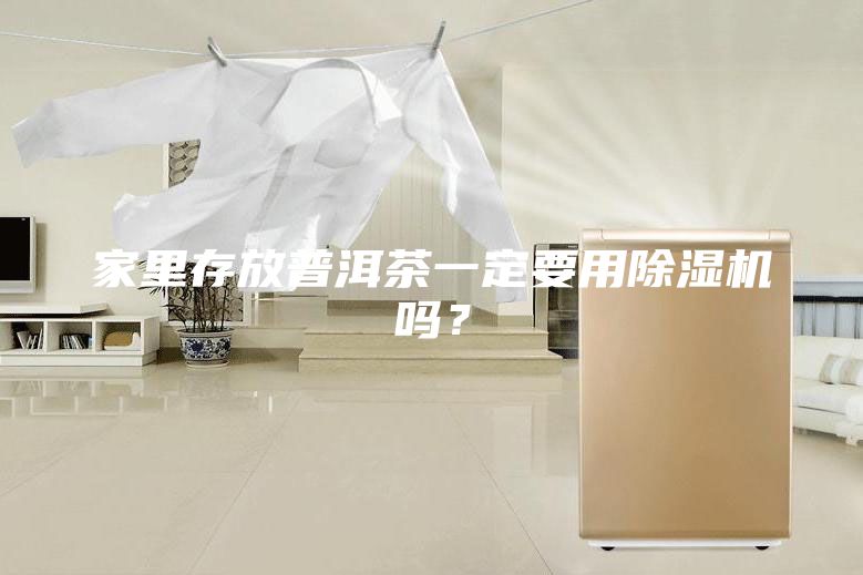 家里存放普洱茶一定要用除湿机吗？