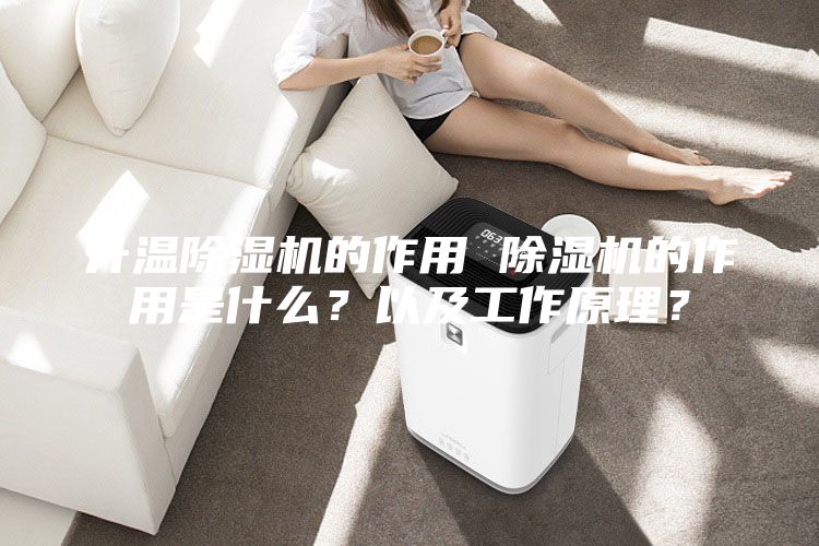 升温除湿机的作用 除湿机的作用是什么？以及工作原理？