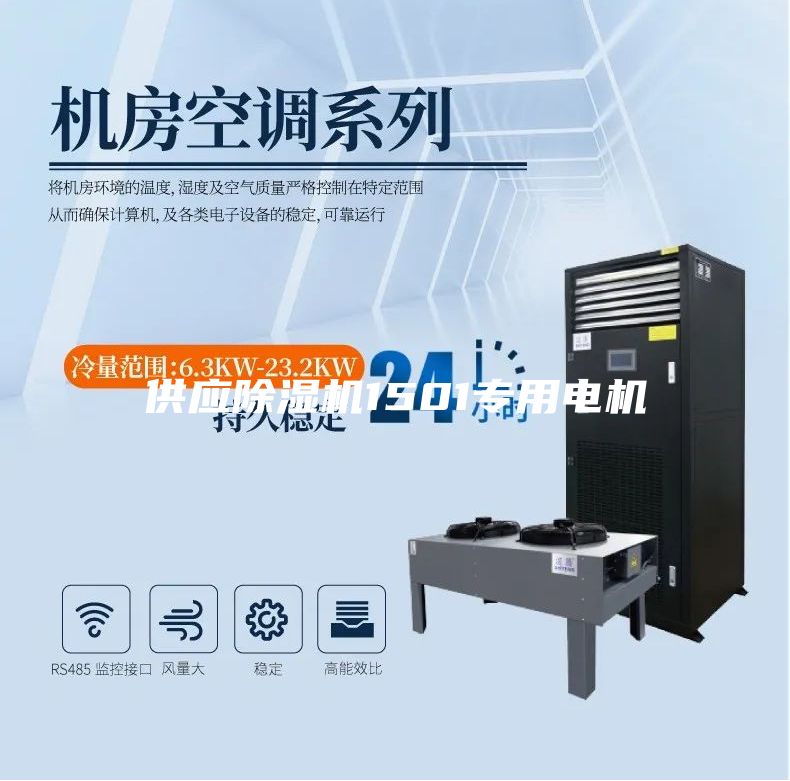 供应除湿机1501专用电机