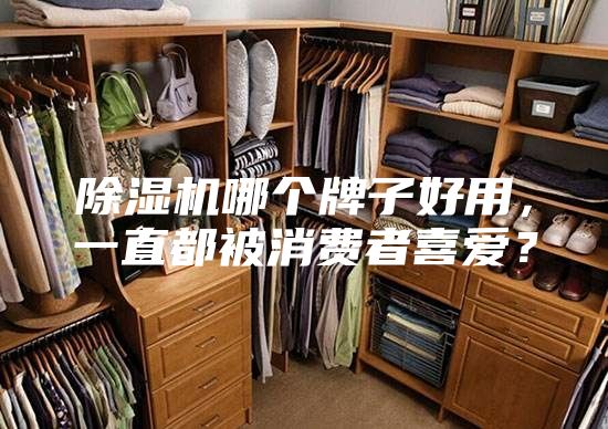 除湿机哪个牌子好用，一直都被消费者喜爱？