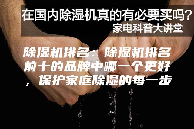 除湿机排名：除湿机排名前十的品牌中哪一个更好，保护家庭除湿的每一步
