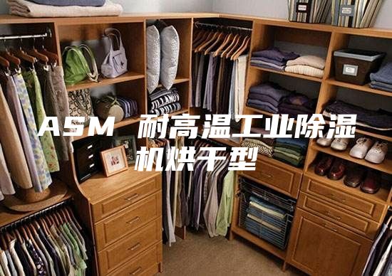 ASM 耐高温工业除湿机烘干型