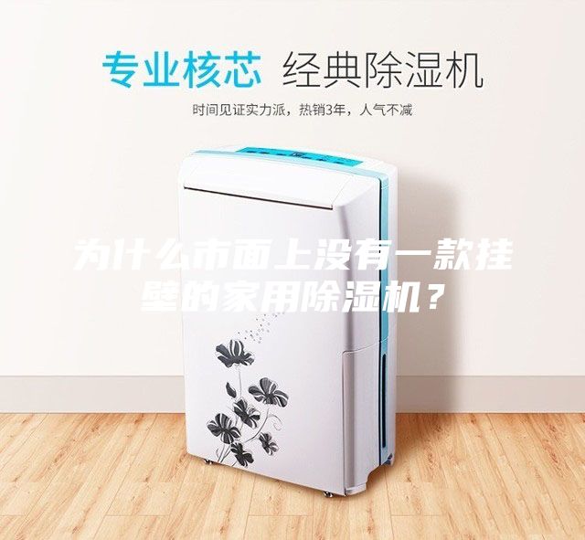 为什么市面上没有一款挂壁的家用除湿机？