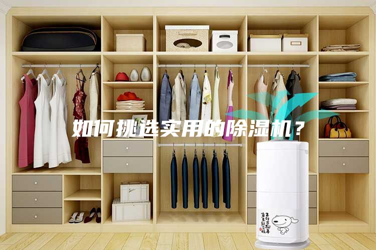 如何挑选实用的除湿机？