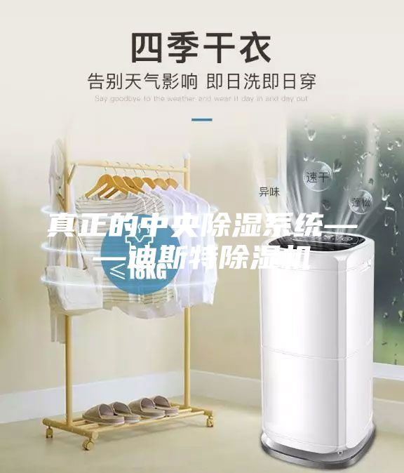 真正的中央除湿系统——迪斯特除湿机