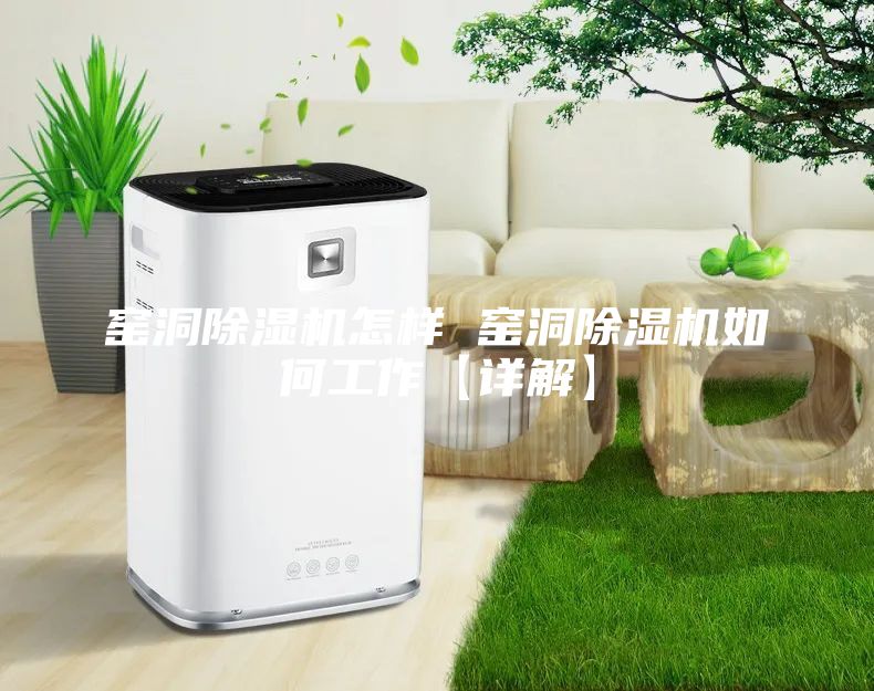 窑洞除湿机怎样 窑洞除湿机如何工作【详解】