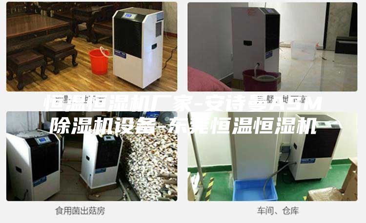 恒温恒湿机厂家-安诗曼ASM除湿机设备-东莞恒温恒湿机