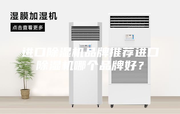 进口除湿机品牌推荐进口除湿机哪个品牌好？