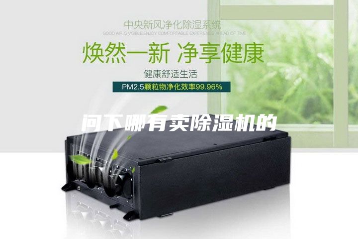 问下哪有卖除湿机的