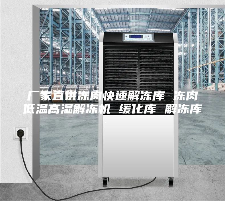 厂家直供冻肉快速解冻库 冻肉低温高湿解冻机 缓化库 解冻库