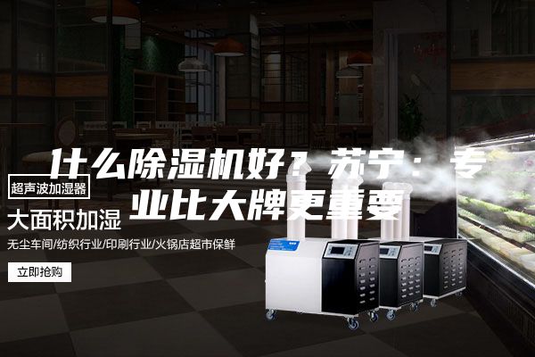 什么除湿机好？苏宁：专业比大牌更重要