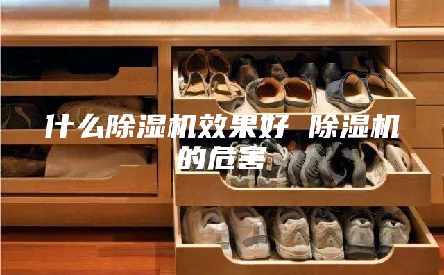 什么除湿机效果好 除湿机的危害
