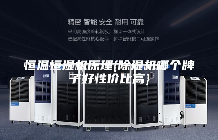 恒温恒湿机原理{除湿机哪个牌子好性价比高}