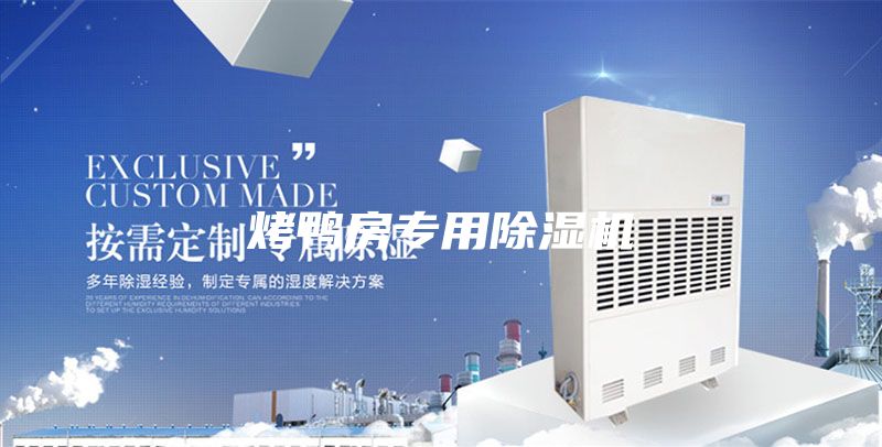烤鸭房专用除湿机