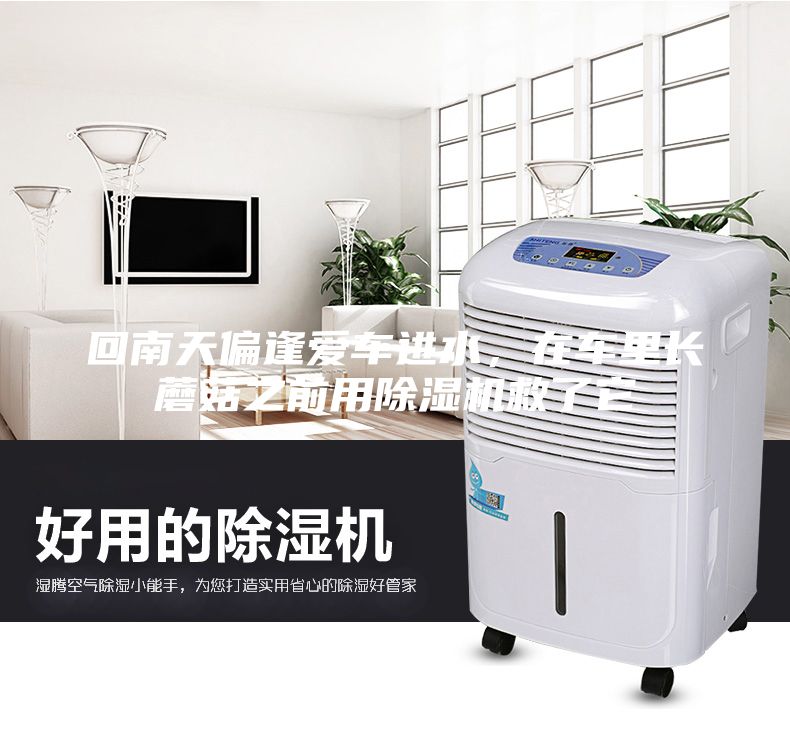 回南天偏逢爱车进水，在车里长蘑菇之前用除湿机救了它