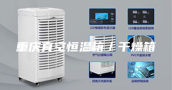 重庆真空恒温箱／干燥箱