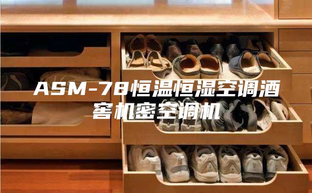 ASM-78恒温恒湿空调酒窖机密空调机