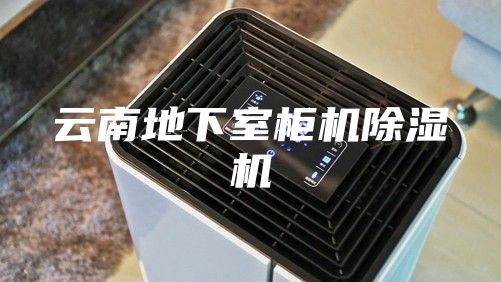 云南地下室柜机除湿机