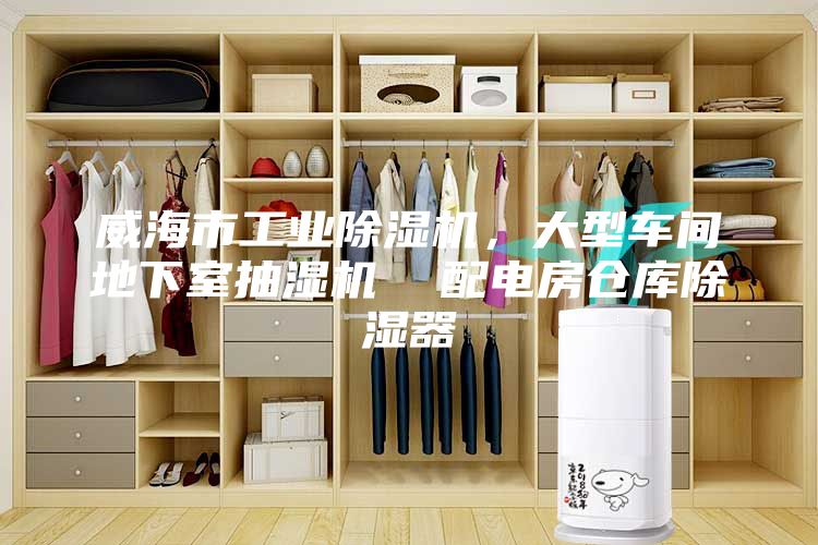 威海市工业除湿机，大型车间地下室抽湿机  配电房仓库除湿器