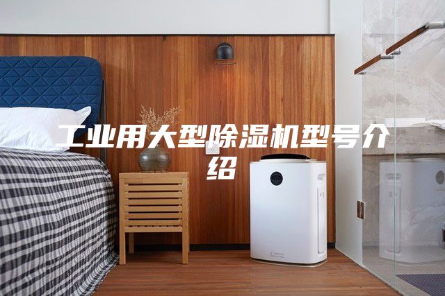 工业用大型除湿机型号介绍