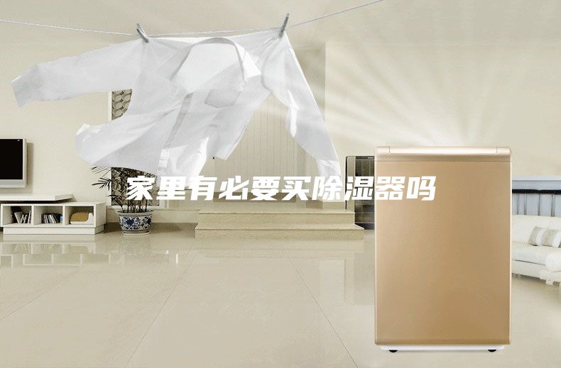 家里有必要买除湿器吗