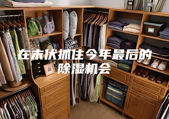 在末伏抓住今年最后的除湿机会