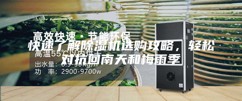 快速了解除湿机选购攻略，轻松对抗回南天和梅雨季