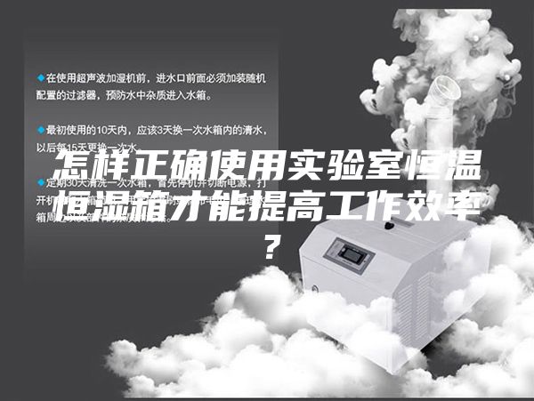 怎样正确使用实验室恒温恒湿箱才能提高工作效率？