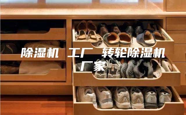 除湿机 工厂 转轮除湿机厂家