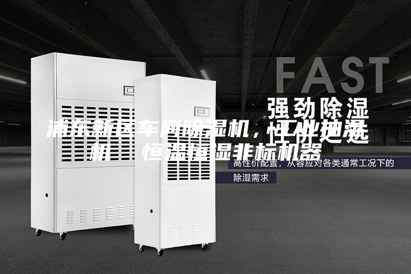 浦东新区车间除湿机，工业抽湿机  恒温恒湿非标机器