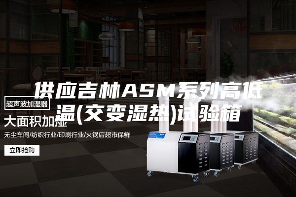 供应吉林ASM系列高低温(交变湿热)试验箱