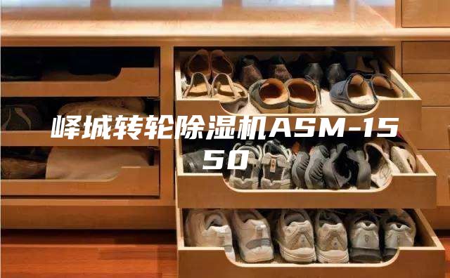 峄城转轮除湿机ASM-1550