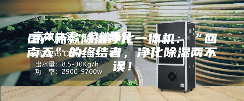 国产新款除湿净化一体机：“回南天”的终结者，净化除湿两不误！