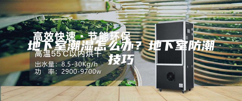 地下室潮湿怎么办？地下室防潮技巧