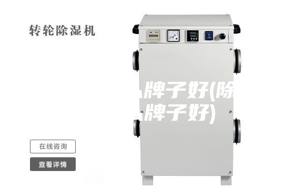除湿机什么牌子好(除湿器什么牌子好)