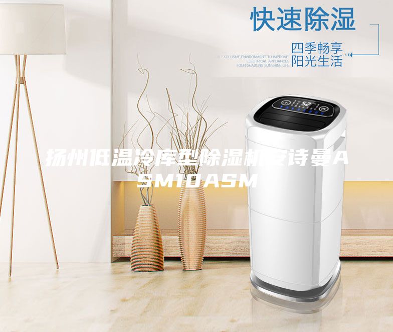 扬州低温冷库型除湿机安诗曼ASM10ASM