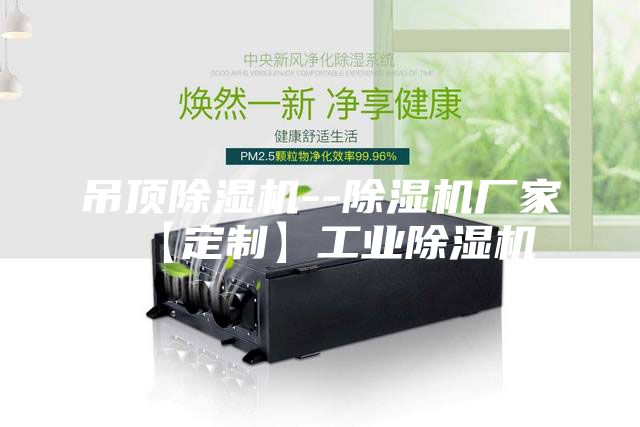 吊顶除湿机--除湿机厂家【定制】工业除湿机