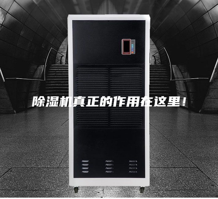 除湿机真正的作用在这里！