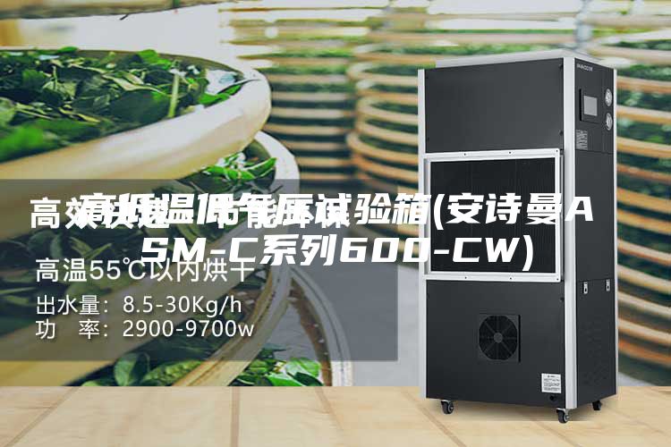 高低温低气压试验箱(安诗曼ASM-C系列600-CW)