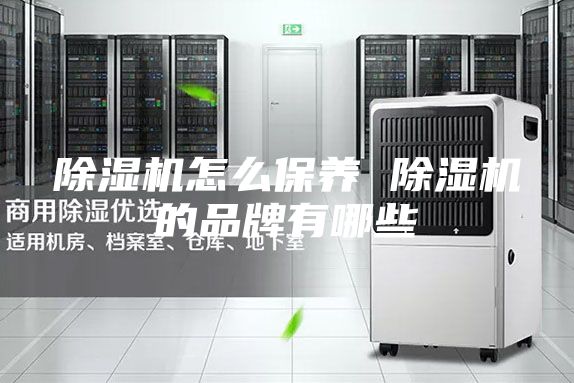除湿机怎么保养 除湿机的品牌有哪些