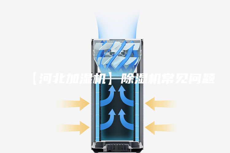 【河北加湿机】除湿机常见问题
