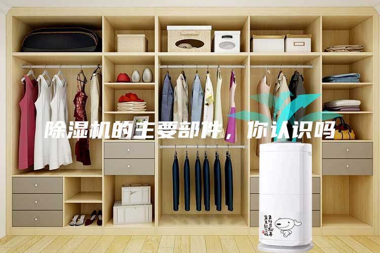 除湿机的主要部件，你认识吗