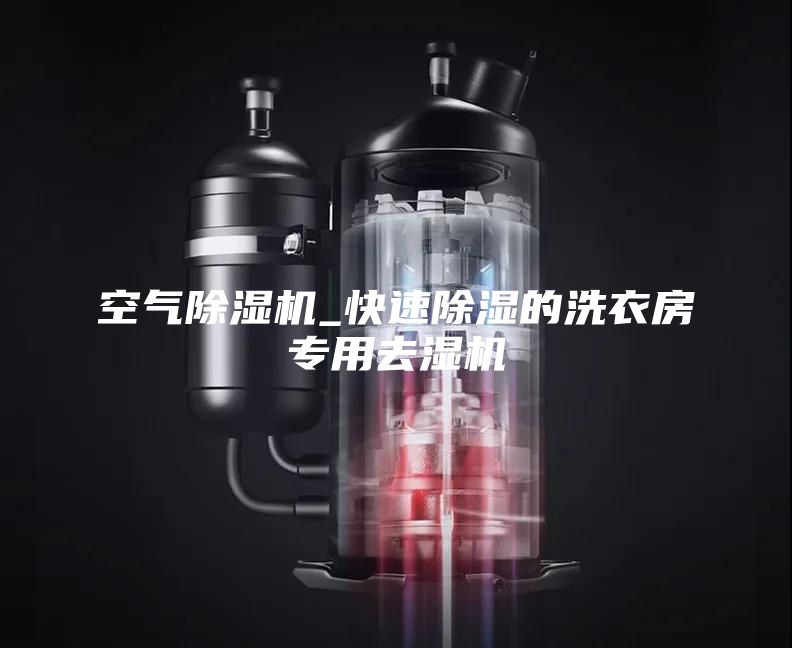 空气除湿机_快速除湿的洗衣房专用去湿机