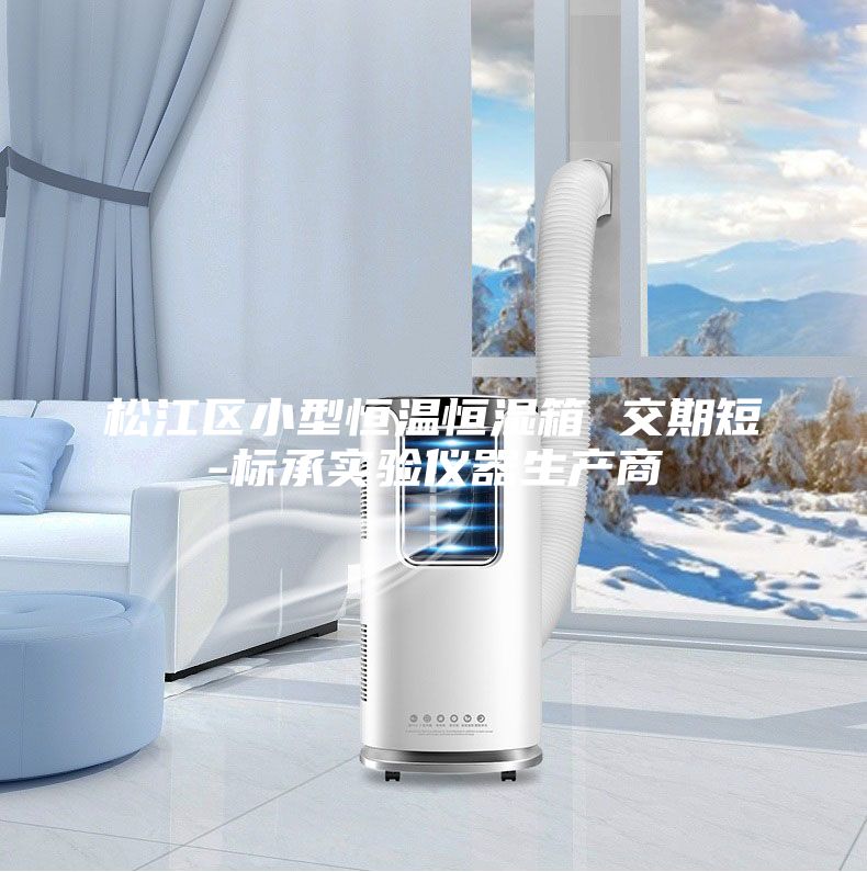 松江区小型恒温恒湿箱 交期短-标承实验仪器生产商
