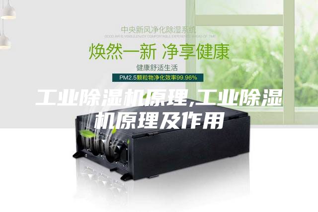 工业除湿机原理,工业除湿机原理及作用