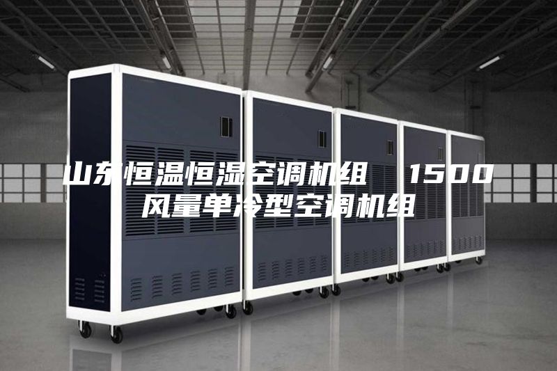 山东恒温恒湿空调机组  1500风量单冷型空调机组