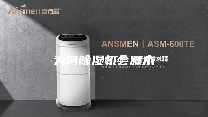 为何除湿机会漏水